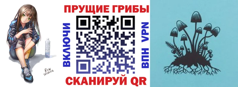 Псилоцибиновые грибы прущие грибы  Сибай 