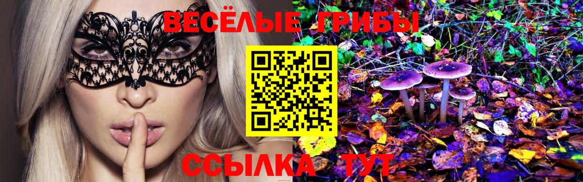 Галлюциногенные грибы Psilocybine cubensis Сибай