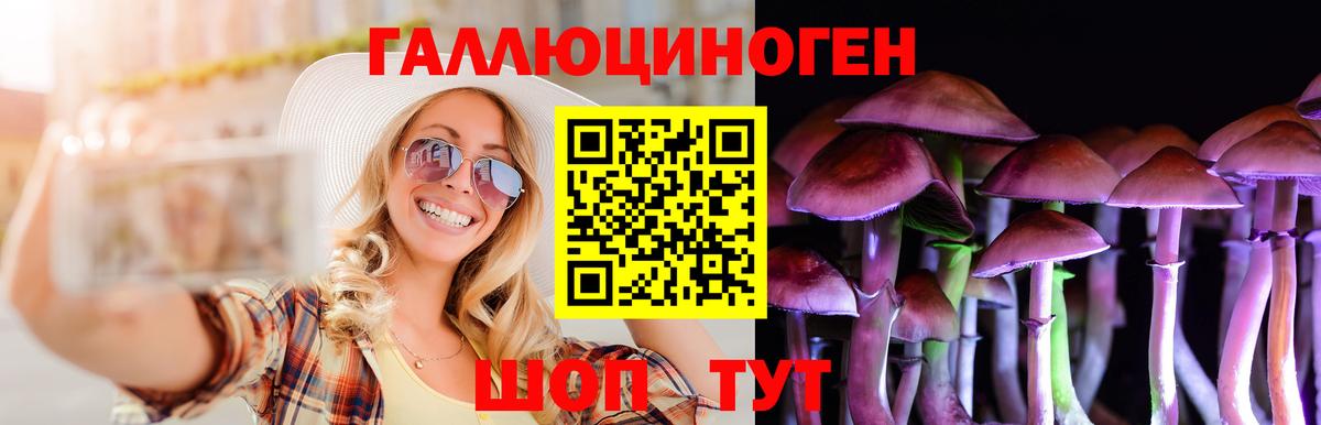 Сибай  Псилоцибиновые грибы прущие грибы  Вход с VPN 